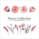 手绘水彩粉色花卉