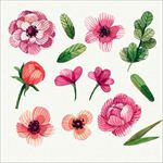 手绘水彩花卉插图