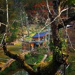 山庄