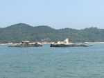 海岛