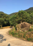 山路