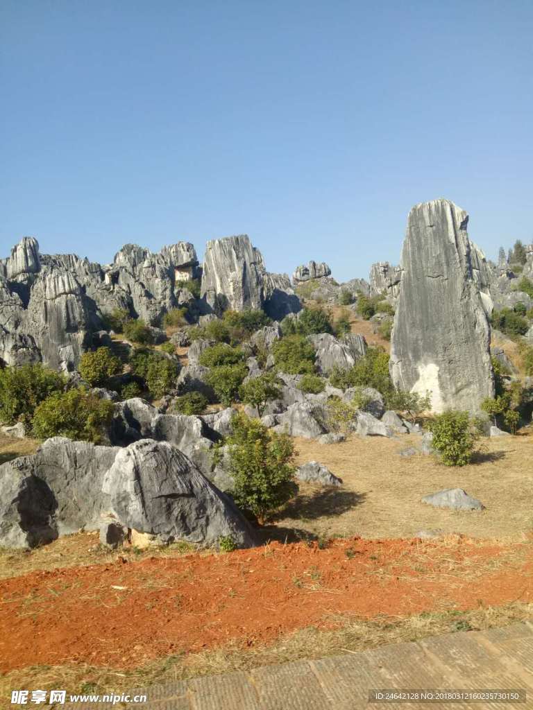 云南 石林 风光