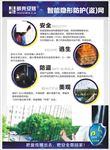 明亮安格 背景画 明亮安格背景