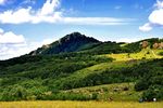 百花山