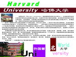 小学校园文化图版