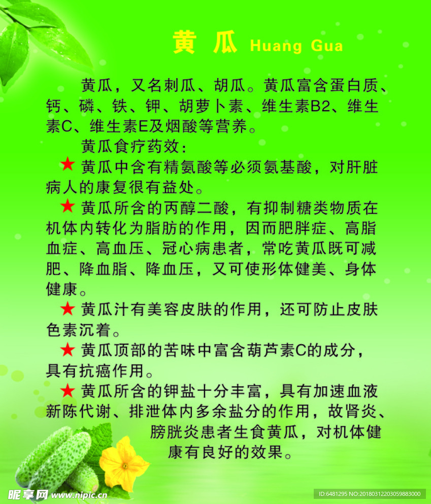 黄瓜的简介