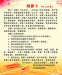 胡萝卜的简介