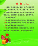 辣椒的说明