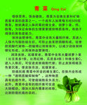 青菜的说明
