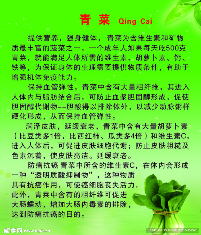 青菜的说明