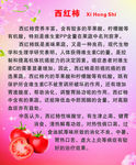 西红柿营养说明