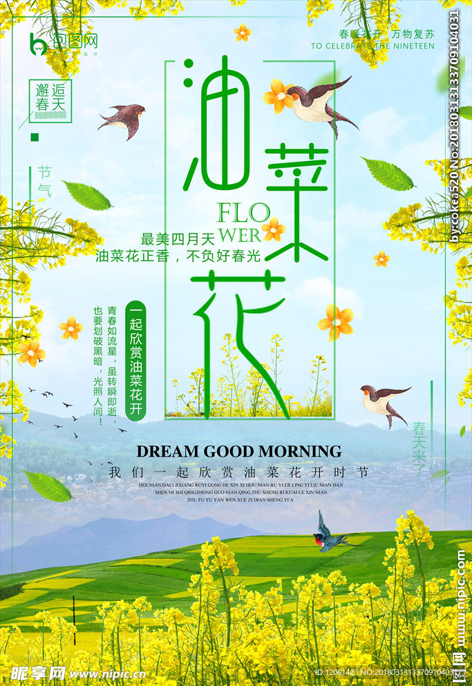 油菜花