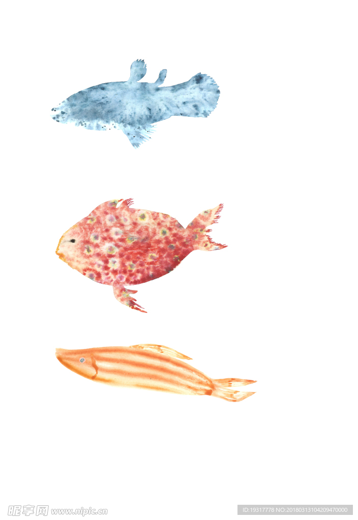 水彩鱼 装饰画