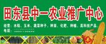 田东县中一农业推广中心