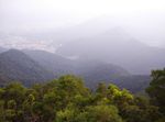 梧桐山