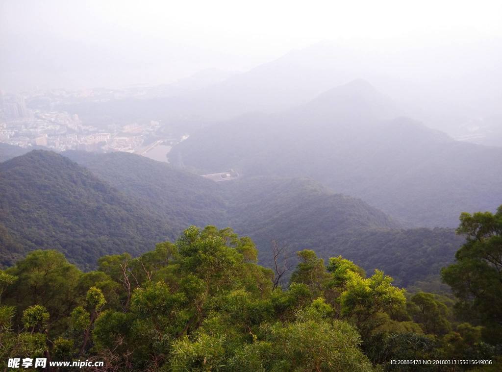 梧桐山