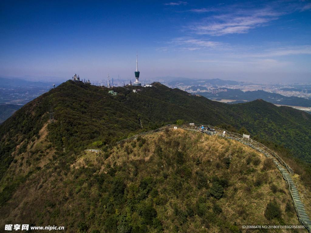 梧桐山