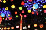 灯展