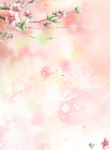 几枝桃花背景
