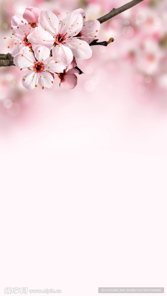 清新桃花H5背景素材