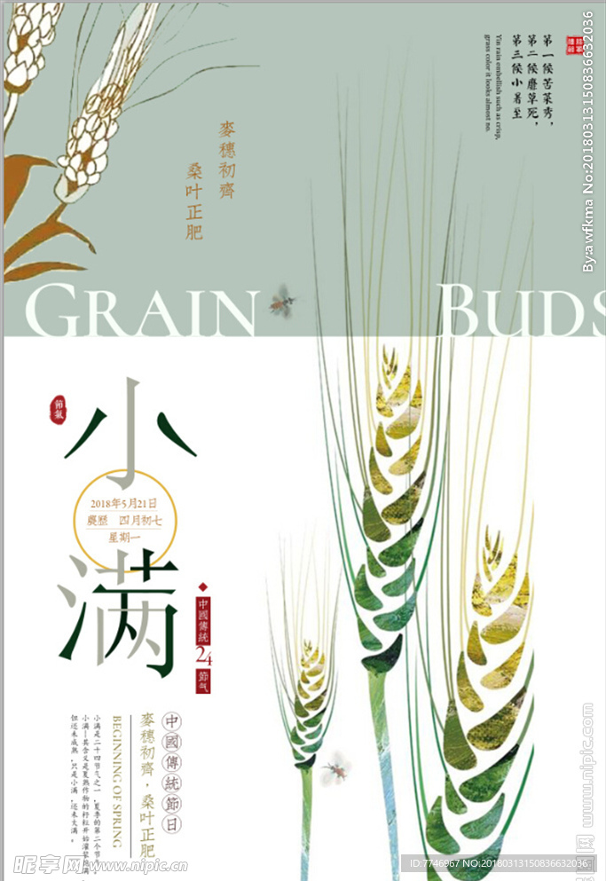 小清新二十四节气24节气小满
