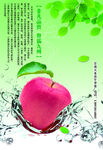 苹果2