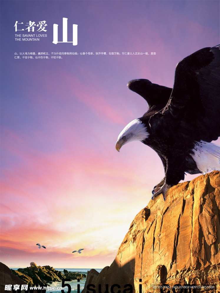 雄鹰展翅
