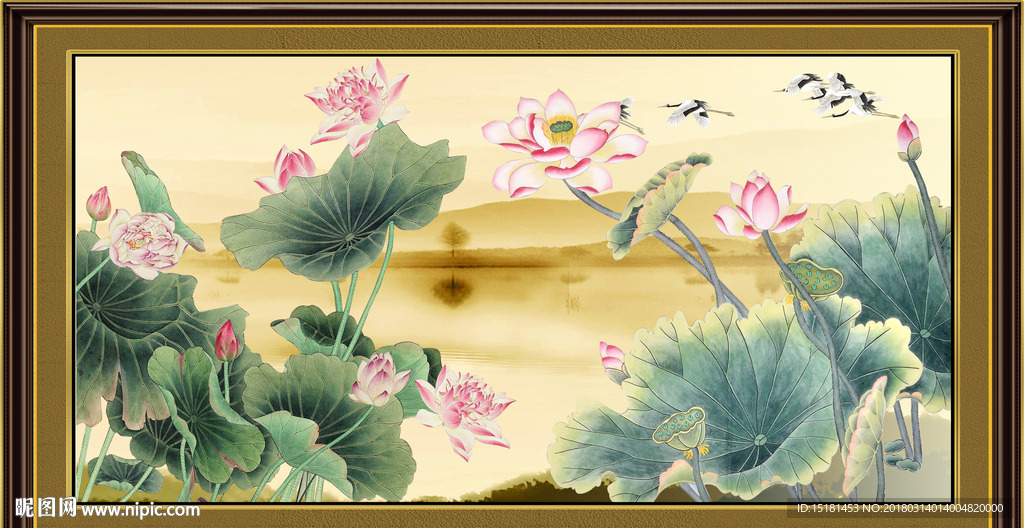 荷花图
