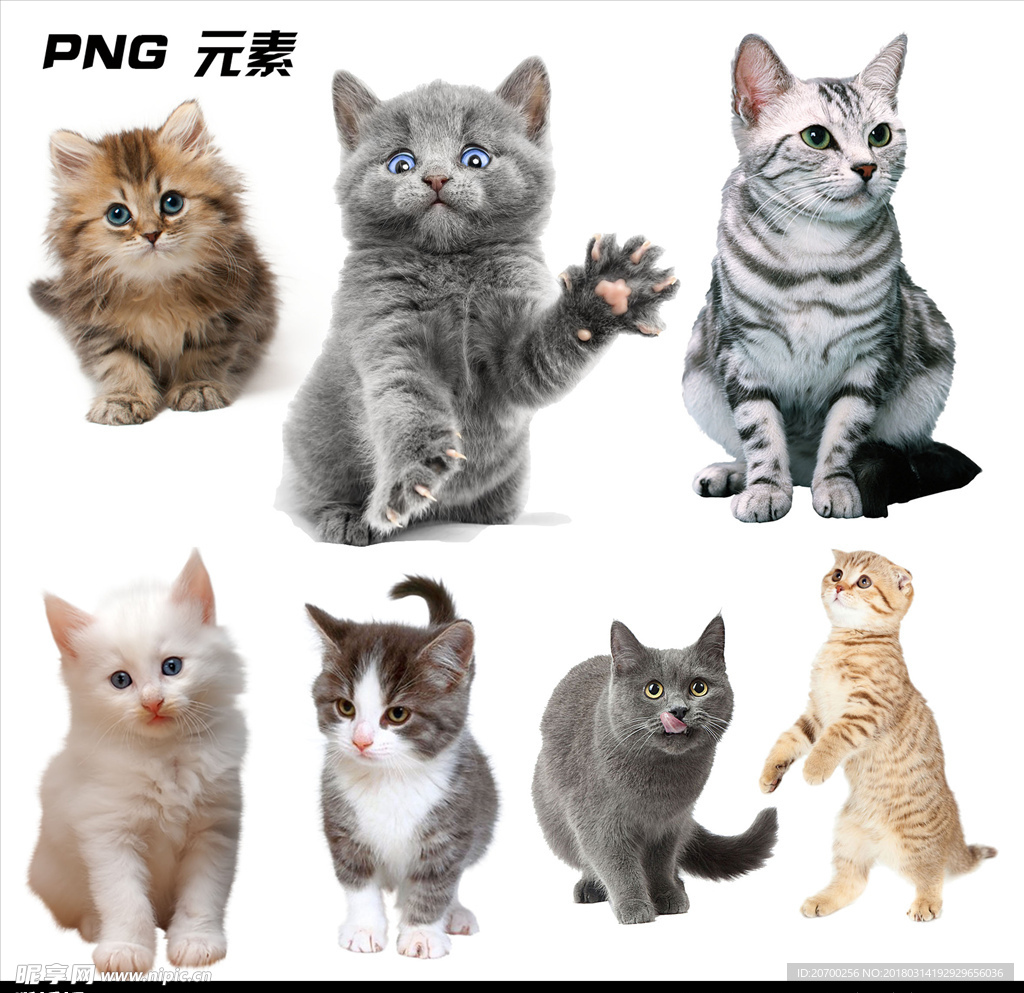 猫咪免扣元素