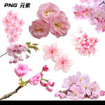 樱花免扣元素
