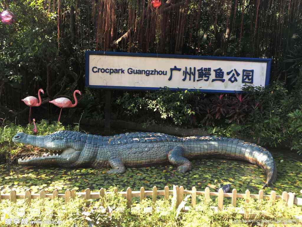 鳄鱼
