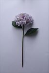 紫色绣球花仿真