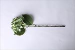 绿色绣球单支 仿真花