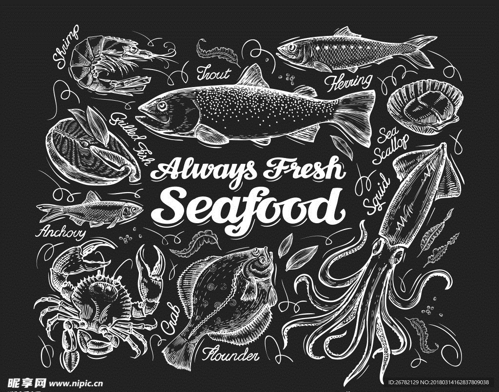 素描手绘海鲜食材插画