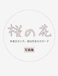 小清新 文字 排版  psd