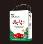 山楂手提袋