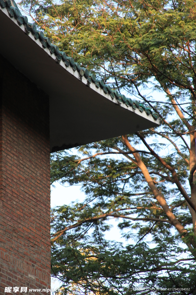 中山大学