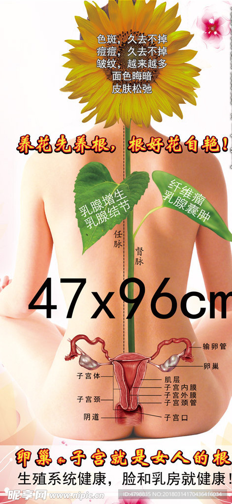 养花先养根