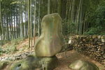 假山