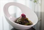 酱香茄子