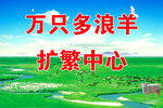 大牌子