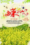 油菜花田海报