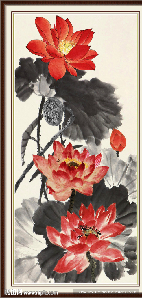 荷花