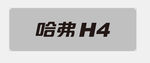 哈弗H4 车铭牌