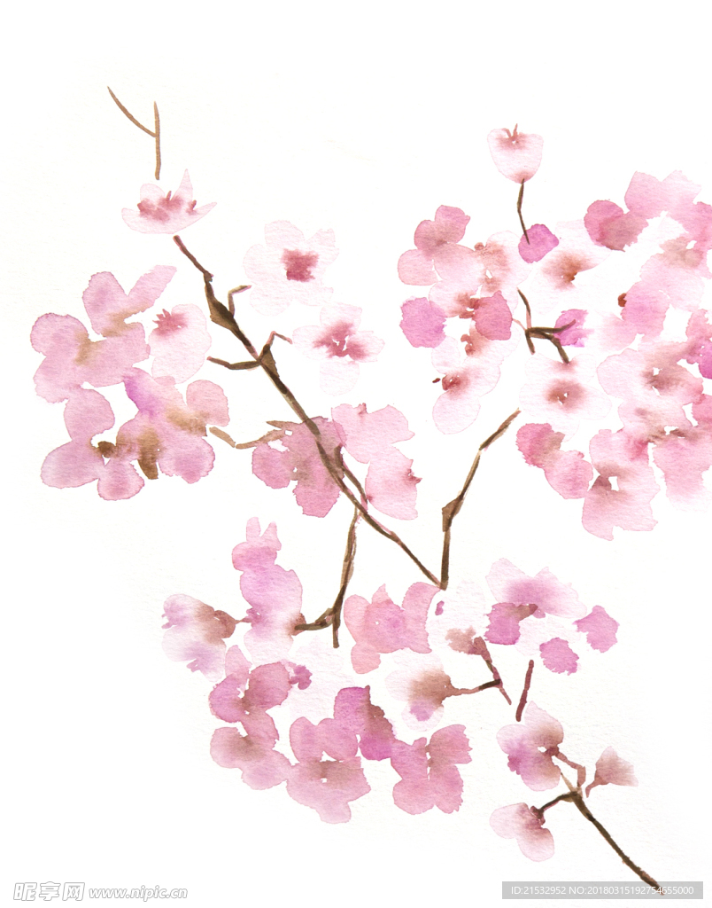 写意花卉