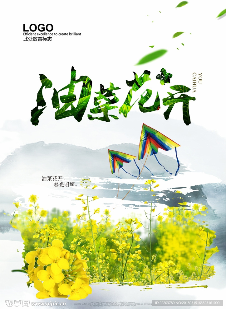 油菜花