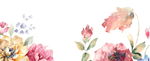 手绘唯美花朵小清新背景图片