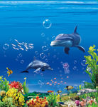 海底世界