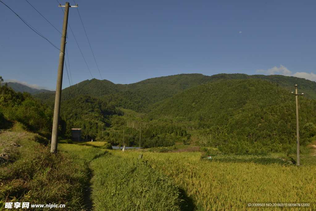 农村