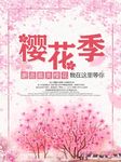 樱花季